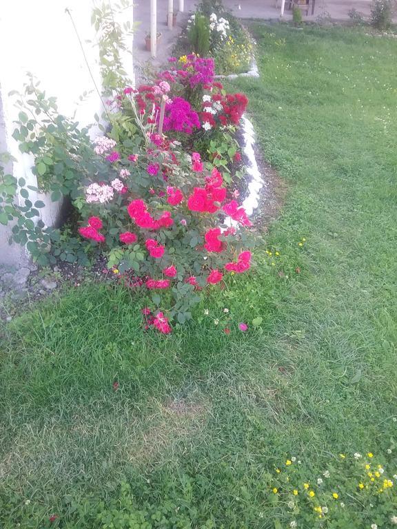 Guest House Anisa Birkiani Exterior photo