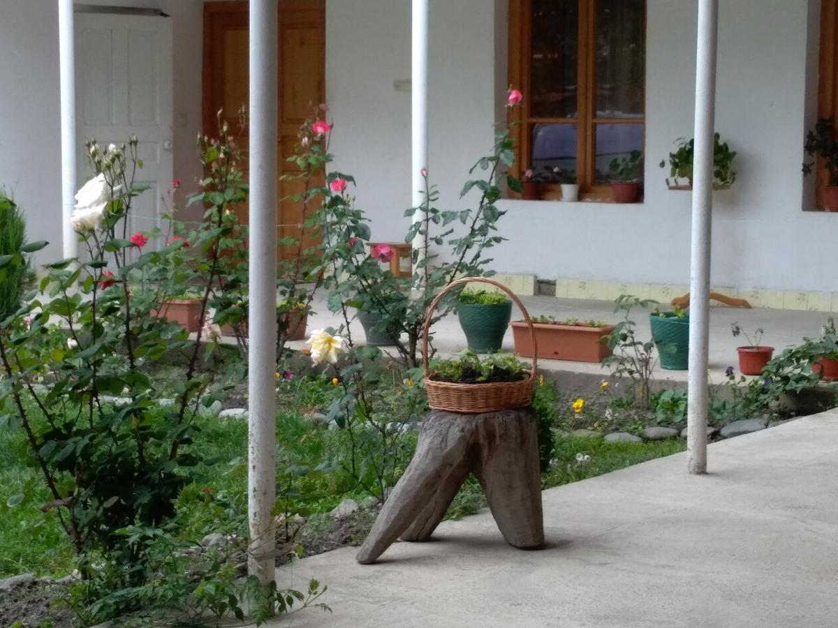Guest House Anisa Birkiani Exterior photo